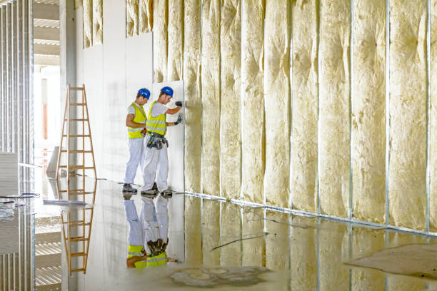 Best Insulation Maintenance and Repair in Line Acres, MO